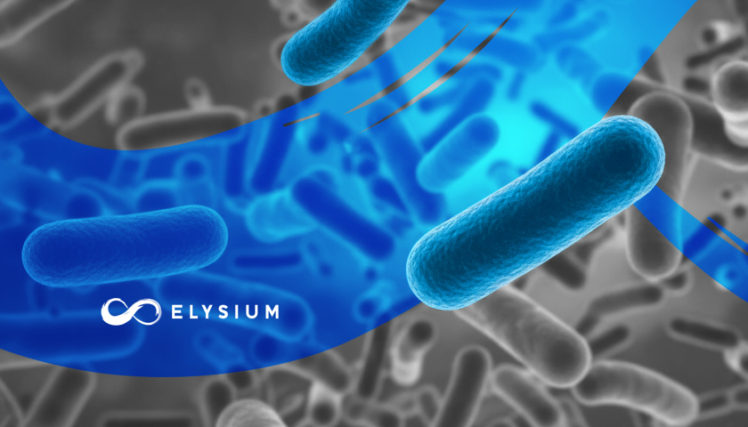 A mikrobiom láthatatlan védelmezője: Lactobacillus reuteri (UBLRu-87)