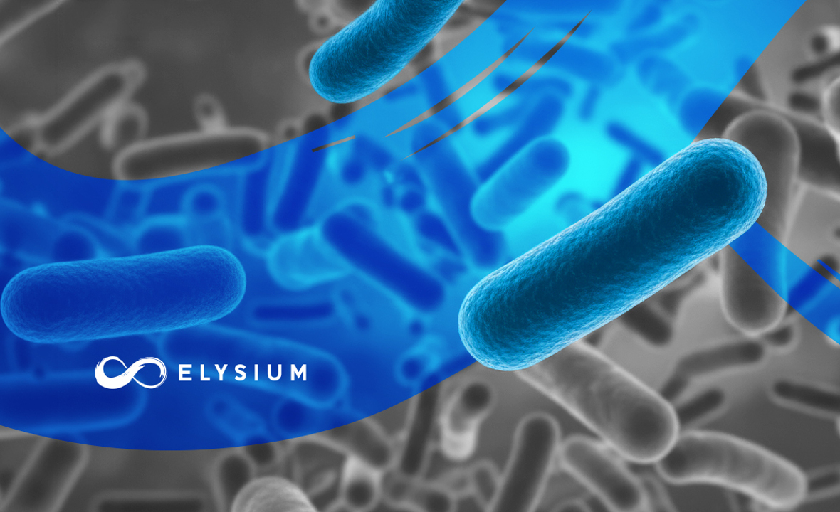 A mikrobiom láthatatlan védelmezője: Lactobacillus reuteri (UBLRu-87)