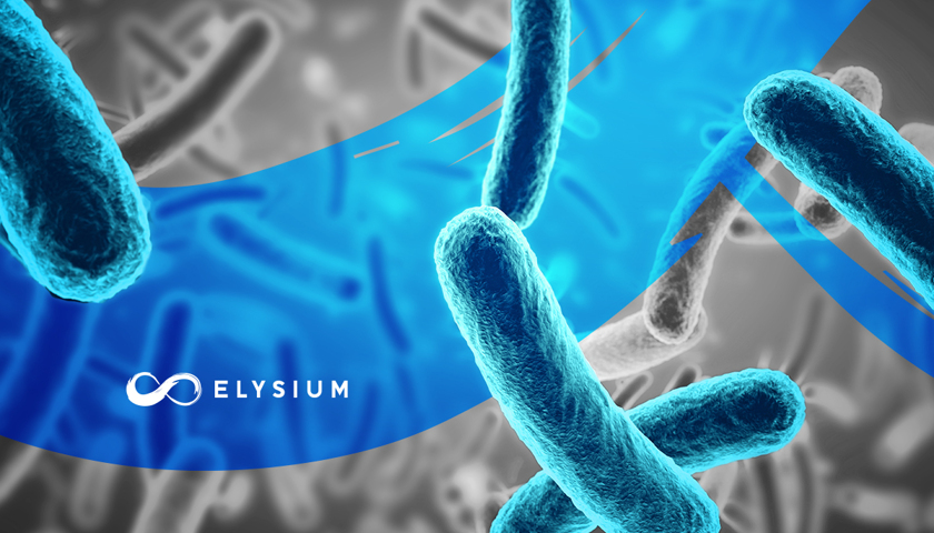 Hogyan védi gyomrunkat a Bacillus clausii 
