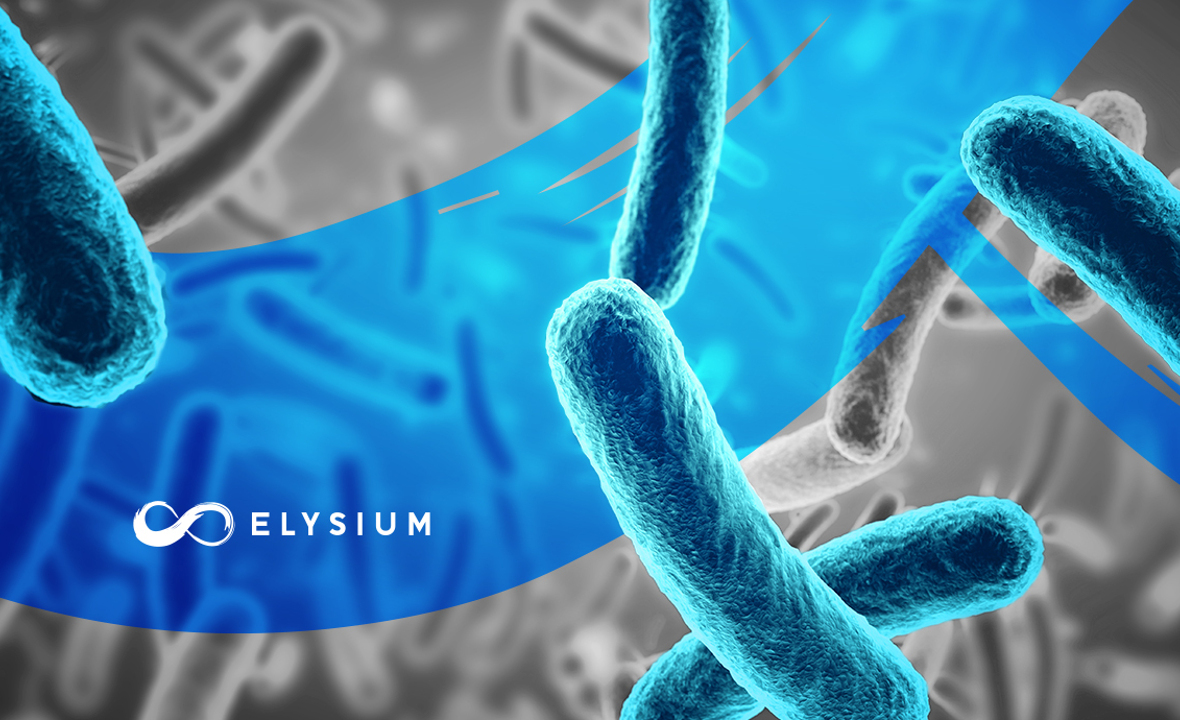Hogyan védi gyomrunkat a Bacillus clausii 